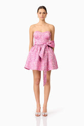 Nadeen A-Line Mini Dress in Pink