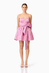 Nadeen A-Line Mini Dress in Pink