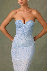 Embellished Sweetheart-Neck Fishtail Gown in Sky Blue