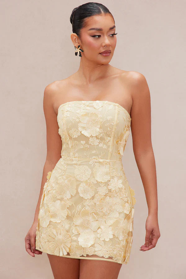 Marcella Embroidered A-Line Mini Dress - Yellow