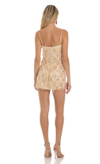 Sequin Fringe Dress in Champagne