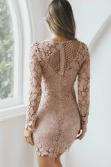 Reinhart Lace Overlay Mini Dress Mocha